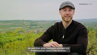 DAS WEINBAUGEBIET WEINVIERTEL  Gebietsvideo [upl. by Richter]