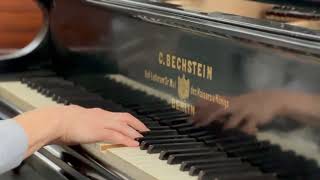 C Bechstein Model V in Ebony at Prosper Pianos [upl. by Nevil953]