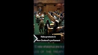 Haka protests in New Zealand’s parliament [upl. by Yanehs]