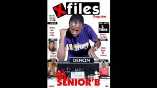 DJ SENIORB HIP HOP PARTY MIX [upl. by Leinod]