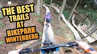 THE 3 BEST MTB TRAILS AT BIKEPARK WINTERBERG [upl. by Carmen]