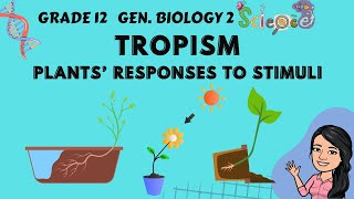 Tropism  Plants Responses to Stimuli  Grade 12 General Biology 2 Tagalog [upl. by Ilrahc]