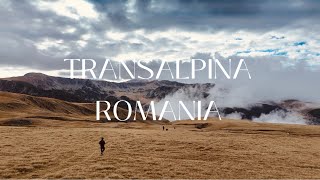 Transalpina Romania l 🇷🇴 you must go😍 romania europe travel mountains dji [upl. by Athal171]