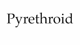 How to Pronounce Pyrethroid [upl. by Trant]