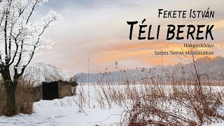 Fekete István Téli berek [upl. by Fayre]