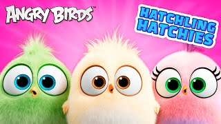 Angry Birds Hatchling Hatchies  Peace 💖 [upl. by Archibald]