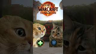 AVERAGE M PUG EXPERIENCE worldofwarcraft memes arcanemage thewarwithin pug wow [upl. by Koval]