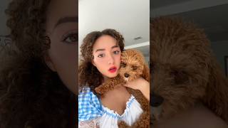 Dorothy y Toto para Halloween🎃👠 thewizardofoz wicked halloween youtubeshorts viral makeup [upl. by Eudo]