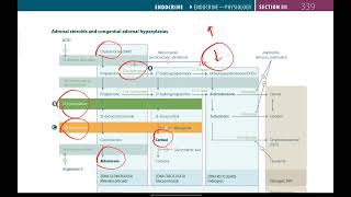 USMLE Step 1  Step 2  Congenital Adrenal Hyperplasia  Endocrinology 17  First Aid in UrduHindi [upl. by Jaynell]