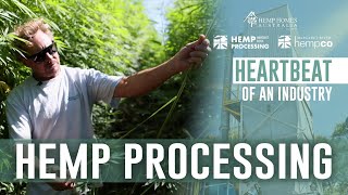 Heartbeat Of The Industry  Hemp Processing in Margaret River [upl. by Kcinomod]