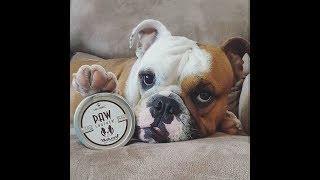 Natural Dog Company Paw Soother [upl. by Okun]