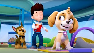 PAW Patrol  Pup Pup Boogie  WildBrain Toons  Cartoons for Kids [upl. by Kared]