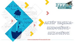 Aktif Taşıma  Endositoz  Ekzositoz [upl. by Enehpets]