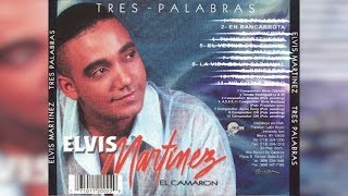 Elvis Martinez  En Bancarrota Audio Oficial álbum Musical Tres Palabras  2002 [upl. by Aelanej778]