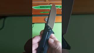 SITIVIEN ST151 review youtubeshorts cuttingskills selfdefense knifecommunity shorts edge [upl. by Omarr707]