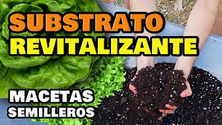 El Mejor SUSTRATO CASERO para SEMILLERO y Macetas 🌱 Sustrato para Cultivar en Huerto Urbano [upl. by Sachsse]