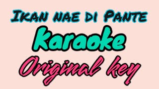 ikan nae di pante  karaoke version HQ [upl. by Lashonde39]