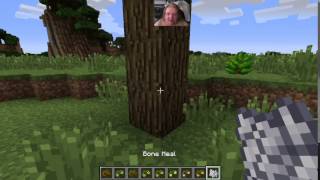 HarvestCraft 1710 Tutorials  Temperate Fruit Trees [upl. by Booma736]