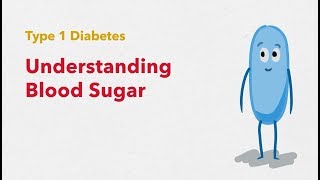 Type 1 Diabetes Understanding Blood Sugar [upl. by Casilda]