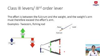 Basics of Exercise Therapy Levers [upl. by Now772]