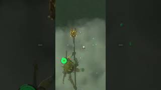 Quick and Elemental Lynel Combo totk zelda gaming shorts [upl. by Oelgnaed]