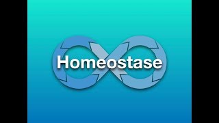 Homeostase [upl. by Ralli]