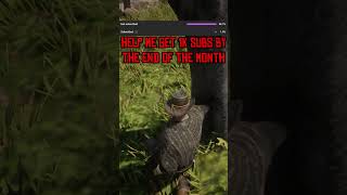 HOW TO GET 2000 Treasure Poisonous Trial In RDR2 rdr2 secretlocation tips shorts [upl. by Gnet]