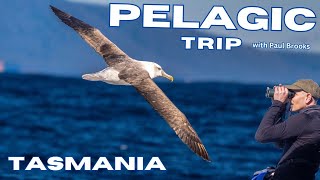 Pelagic Trip  Tasmania  Australia [upl. by Hotchkiss974]