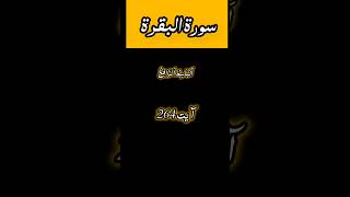 Surah AlBaqrah ayat264 urdu translationislamicvideo quranictranslation surahbaqarahurdu shorts [upl. by Pinsky]