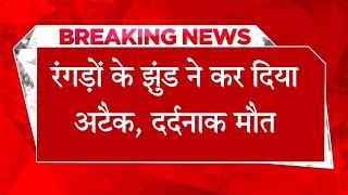 हिमाचल  घर के पास खेत में काम कर रहा था बुजुर्ग रंगड़ों के झुंड ने कर दिया अटैक [upl. by Deb]