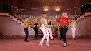 Sandu CiorbaTigro Gipsy Dance Remix 2019 [upl. by Haron451]