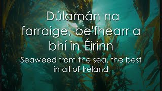 Dúlamán  LYRICS  Translation  Celtic Woman [upl. by Ylrebma]