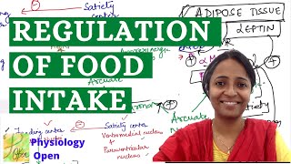 Functions of hypothalamusfood intake feeding amp satiety center  Role of leptin  theories  mbbs [upl. by Grof]