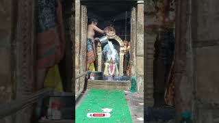 ஆடி கிருத்திகை இடையாறு ராஜா சுவாமி Sri Raja Swamy Temple Nanjai EdayarDeiveegamalai [upl. by Constant]