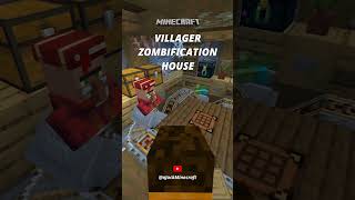 Aesthetic Villager Zombification House in Minecraft [upl. by Marfe160]