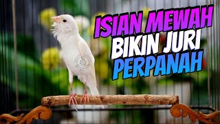 MASTERAN KENARI ISIAN MEWAH AUTO JURI TERPANAH  SUARA KENARI ISIAN CIBLEK GACOR [upl. by Neom528]