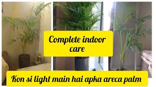 Areca Palm Complete CareIndoor Ya Outdoor Kaese Kare Care Areca palm Ki [upl. by Ronica]