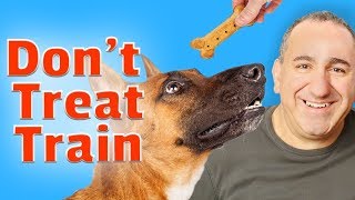 How To Train Your Dog To Listen Without Treats [upl. by Noemad650]