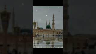 Ogo Kamli wala Madina wala tumhari jonne Jagat ujala shortvideos [upl. by Noirrad43]