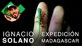 Buscando a la Mantella baronii en Madagascar  Ignacio Solano  Capítulo 3 HD [upl. by Arie]