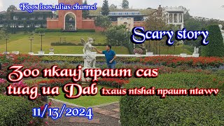 Zoo nkauj npaum cas tuag ua Dab txaus ntshai npaum ntawv 11132024 [upl. by Wassyngton]