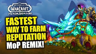 How To Farm Reputation amp Get Exalted FAST In MoP Remix WoW Remix Timerunning Pandamonium [upl. by Aztinay]