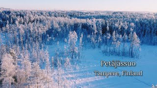 Frozen Winter Wilderness in Tampere Finland  Drone View 12024 [upl. by Aihsemek]