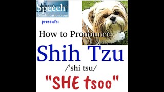 How to Pronounce Shih Tzu [upl. by Garrick]