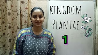 Kingdom Plantae  Biological classification part5  Class XI  Lecture 33 [upl. by Seuqirdor]