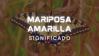 🦋¿Cual es el significado de la mariposa amarilla🦋 [upl. by Enad710]