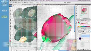 Photoshop Tutorial for Fashion Design 0624 Tools  Brushes Stamp History Healing [upl. by Marelda]