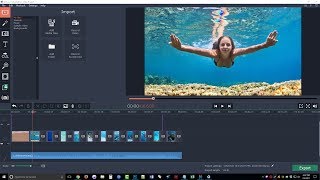 Movavi Video Editor Review amp Tutorial  Movavi Video Editor Step By Step Demo [upl. by Mcclain]