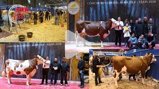 Concours race Montbéliarde au SIA 2018  une championne alsacienne [upl. by Shaina]