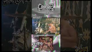 CEPHALOTRIPSY LIVE AT SPLATTER PIT 3 slammingdeathmetal brutaldeathmetal brutalmind splatterpit [upl. by Prober]